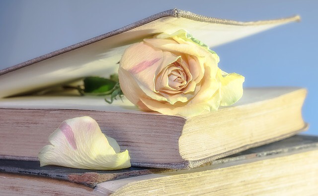 La Biblia: un manual de instrucciones de Dios para que los seres humanos