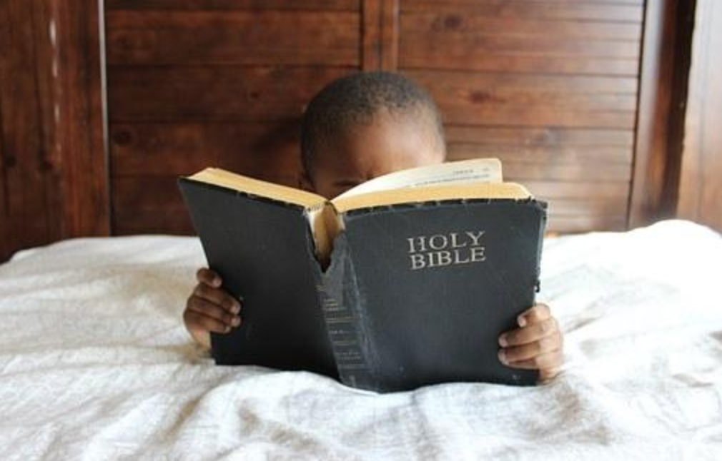 DEVOCIONALES PARA NIÑOS SERIE PROVERBIOS